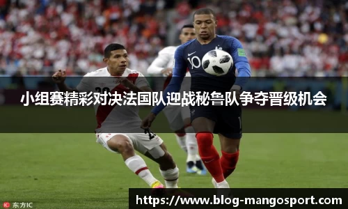 小组赛精彩对决法国队迎战秘鲁队争夺晋级机会